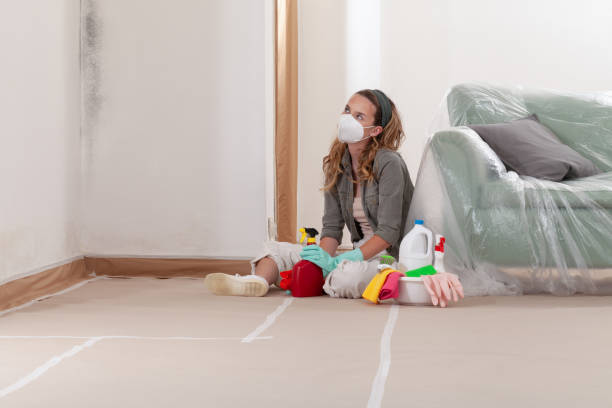 Reliable Black Mold Remediation contractor in Vandalia, MI by Mold Remediation HQ